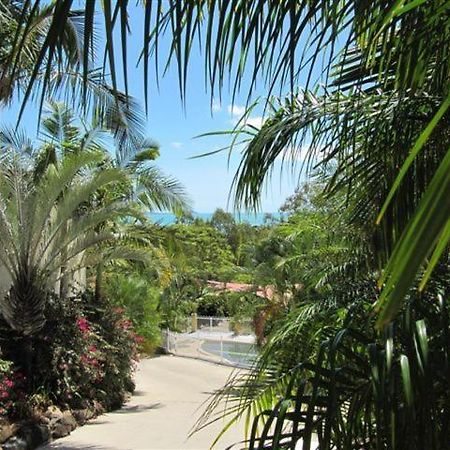 Reefside Villas - Whitsundays Airlie Beach Exterior photo